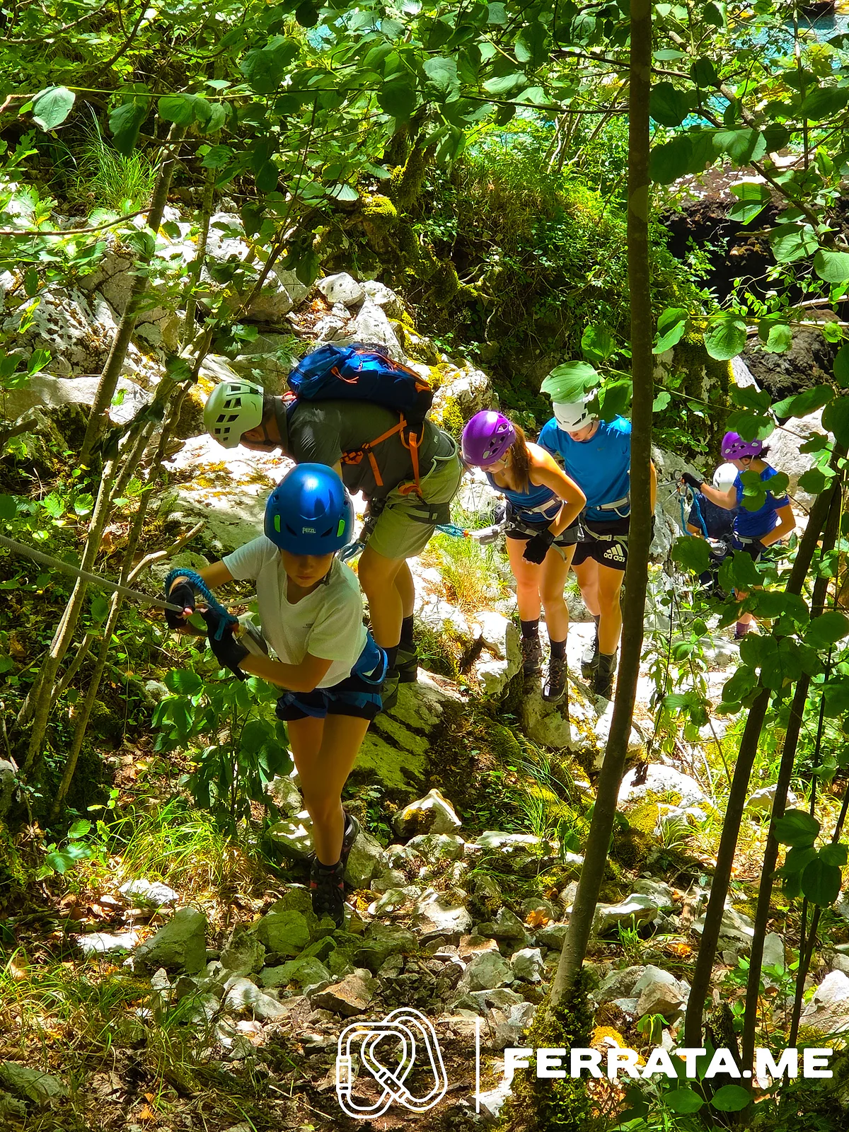 A group in helmets on the forest path among the trees.